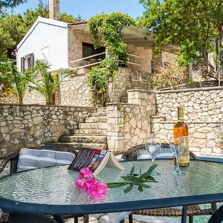 Violetta Antipaxos